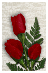 DF35T 058 2 Roses Red